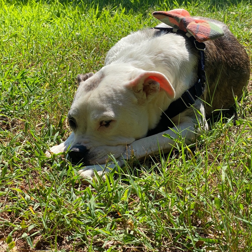 Meet your Posher, Melanie